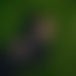 Album cover of You'll Be Alright, Kid by Alex Warren