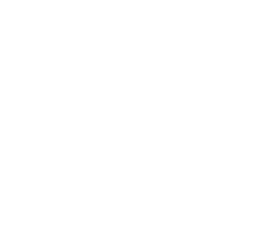dfe.png