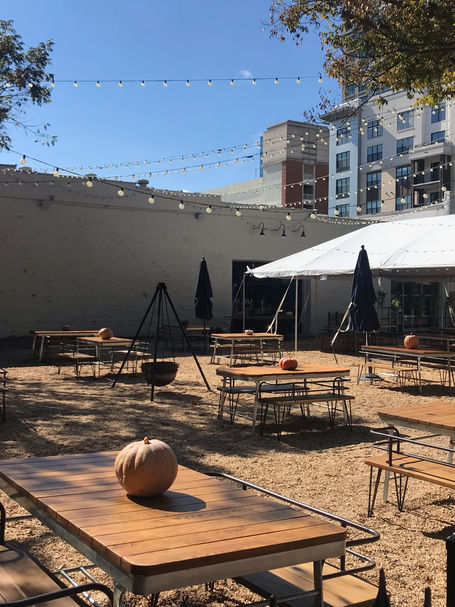 Free fall activities ideas