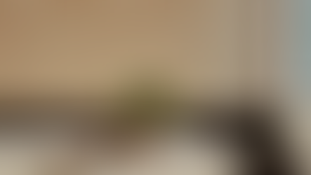 The New Modernists: 5 Bay Area Architecture Firms Reviving Mid-Century Modern Design