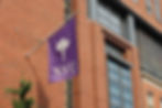 While the program’s official mascot is a bobcat, NYU’s torch emblem—modeled after the Statue of Liberty—symbolizes its commitment to knowledge, creativity, and cultural leadership.
