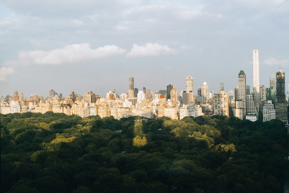 New York City Mid-Century Real Estate • Photo by Peter Thomas for Mid-Century Gems