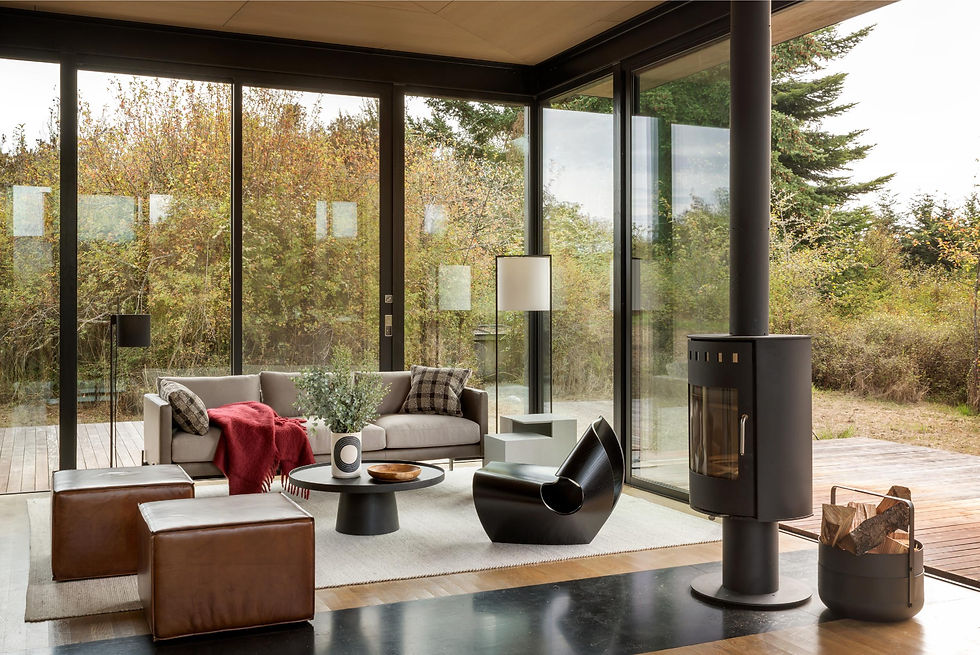 Best Mid-Century Modern Interior Design San Francisco