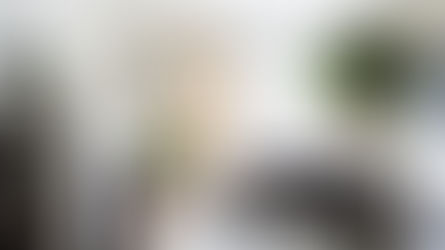 Best Mid-Century Modern Interior Design San Francisco