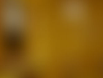 Ghislaine Viñas Interior Design