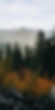 peter-thomas-L5YpKtDu_p0-unsplash_edited.jpg