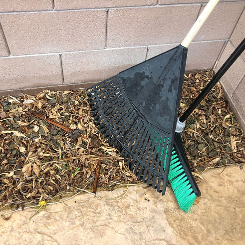 Rake on a pile of autumn leaves, showcasing Tidy Delights' commitment to thorough yard maintenance and cleanup.