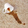 coffee spilt on carpet showing a need for carpet cleaning in launceston