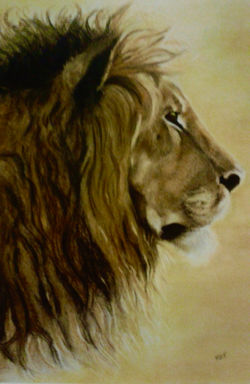 Lion of the Tribe of Judah