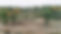 Large land clearing during the process of many acres being cleared to build on in Auburn Hills MI