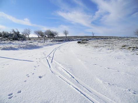 Le Chalet Des Gentianes, Activités
