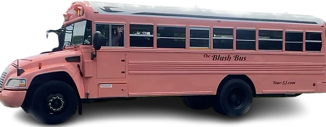 pink bus