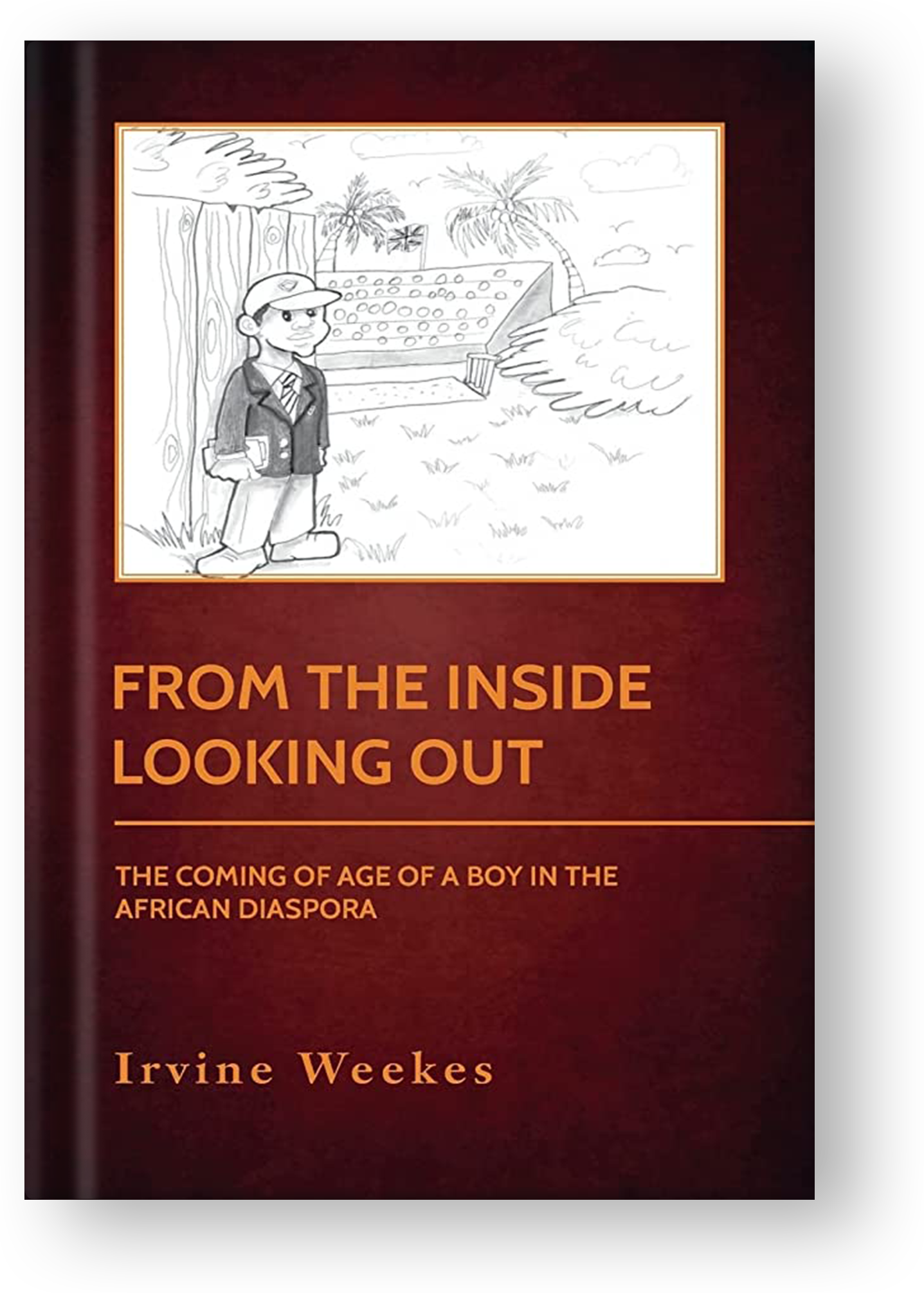 From The Inside Looking Out