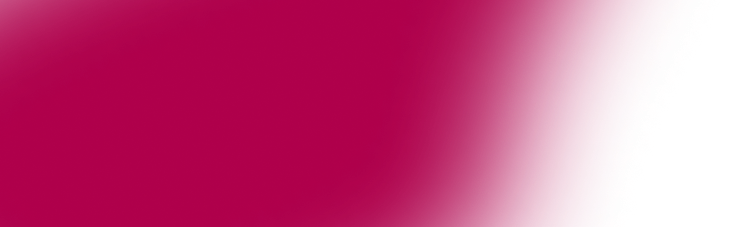 Ellipse 1