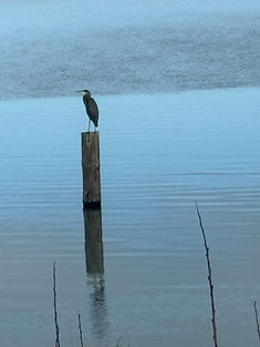 IMG_0829.JPEG