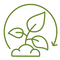 perennial (2).png
