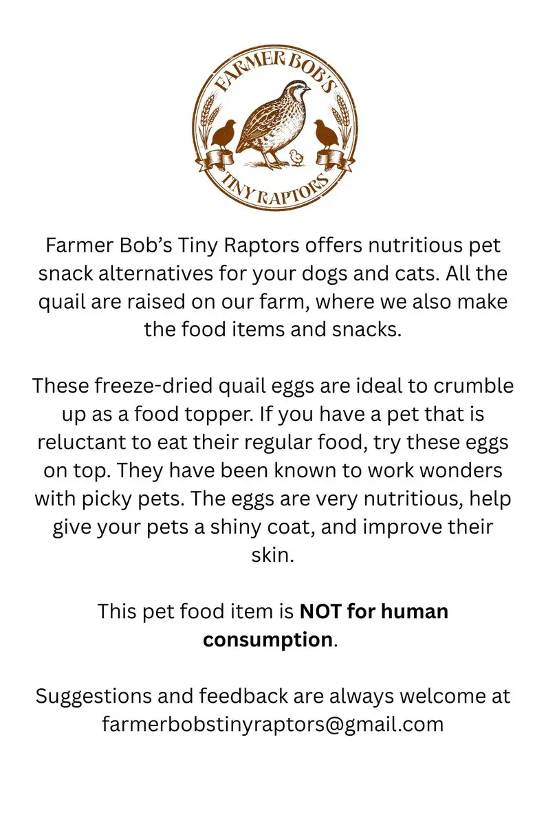Thumbnail: Raw Freeze Dried Whole Quail Eggs