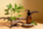 beautiful-still-life-with-herbal-medicine.jpg