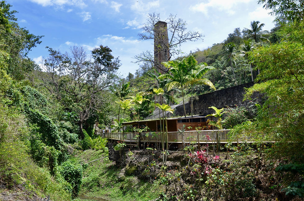 Un après-midi au zoo de Martinique 
