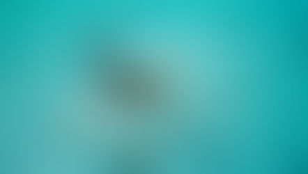 [2018] Diving - St. Martin