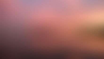 Chesapeake - Fall 2019