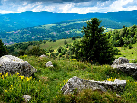 Le saviez-vous ? La randonnée dans les Vosges