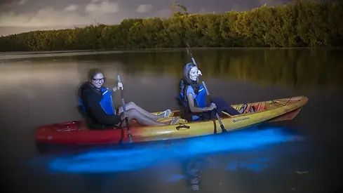 Two-kayakers-paddling-through-ioluminescence-at-night.webp