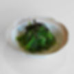 Salade d'Algues