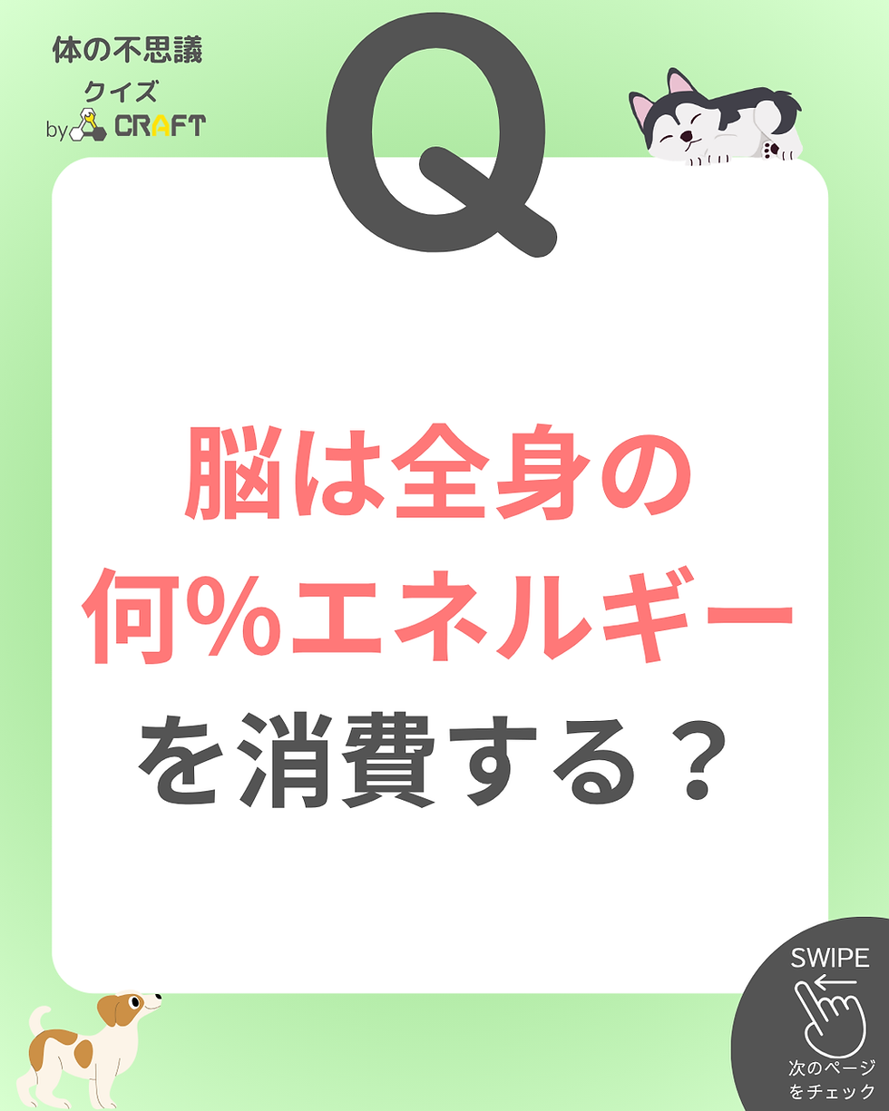 脳は全身のエネルギーの何%を消費する?