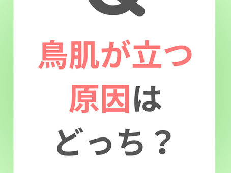 鳥肌が立つ原因はどっち？