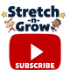 YouTube Subscribe.png