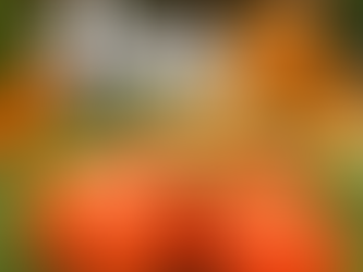 Halloween Spooky Delights for Halloween: Witchy Mushroom Potions & Creepy Blue Oyster Fingers Dishes