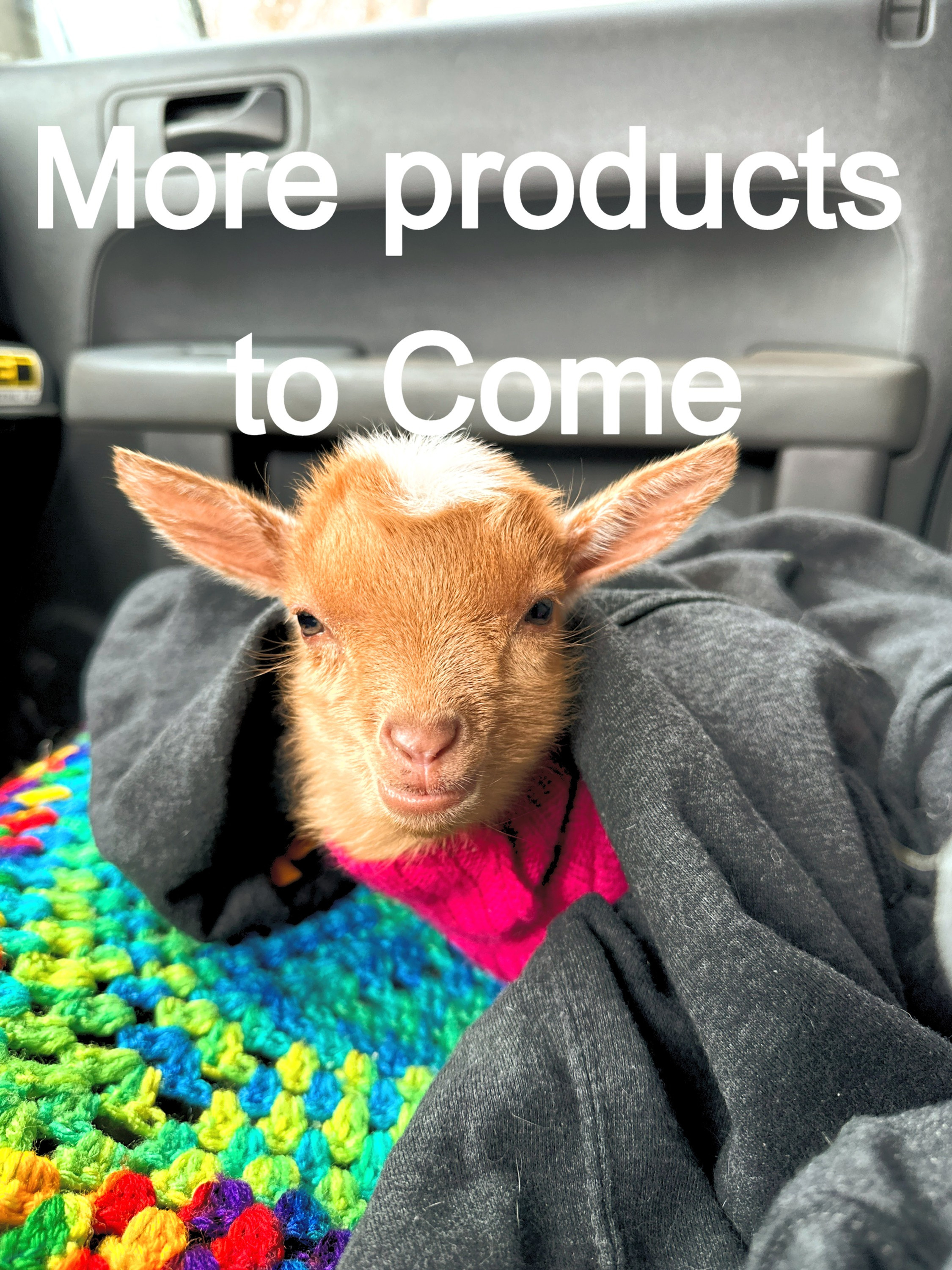MORE PRODUCTS TO COME