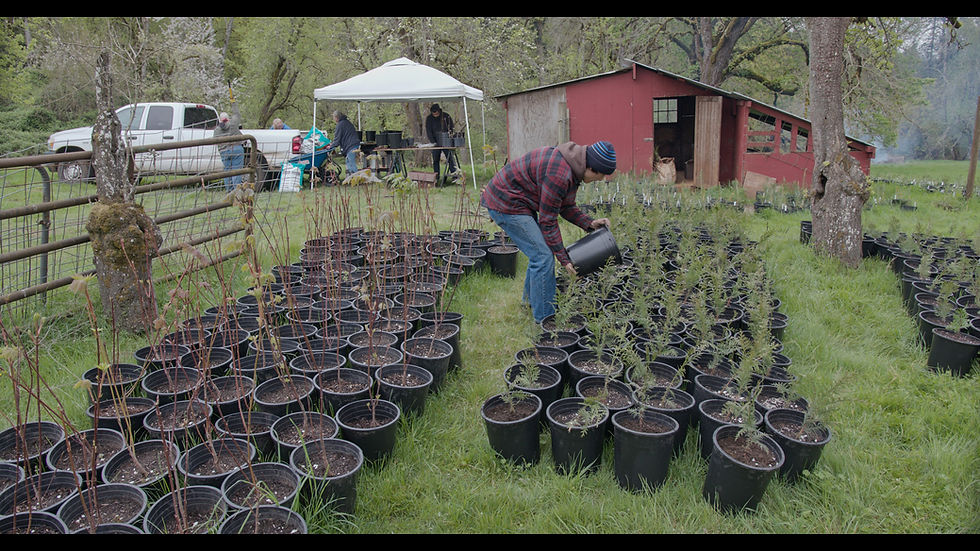 Geercrest repotting 2026-04-20 183404_1.60.1.jpg