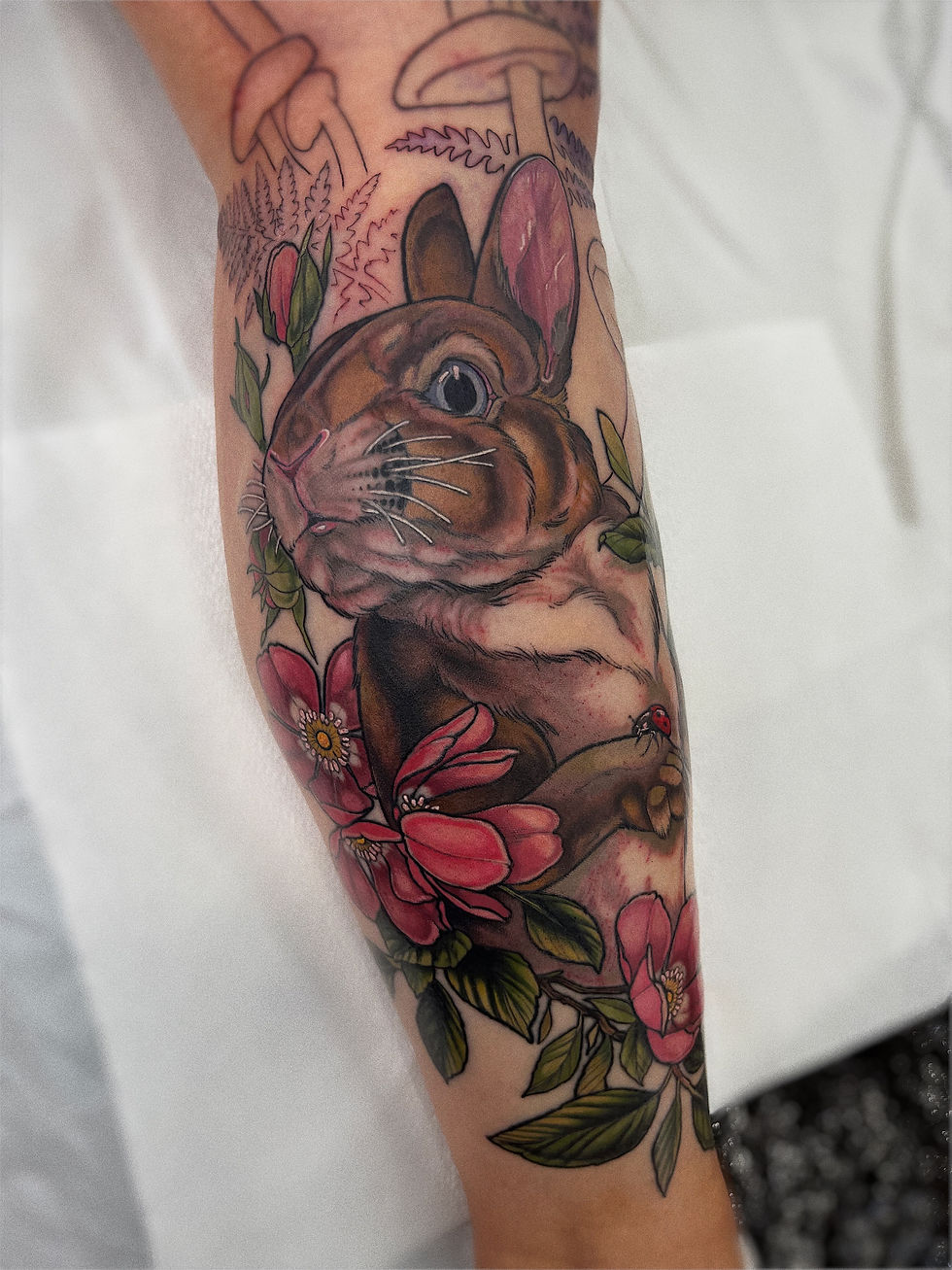 rabbit
