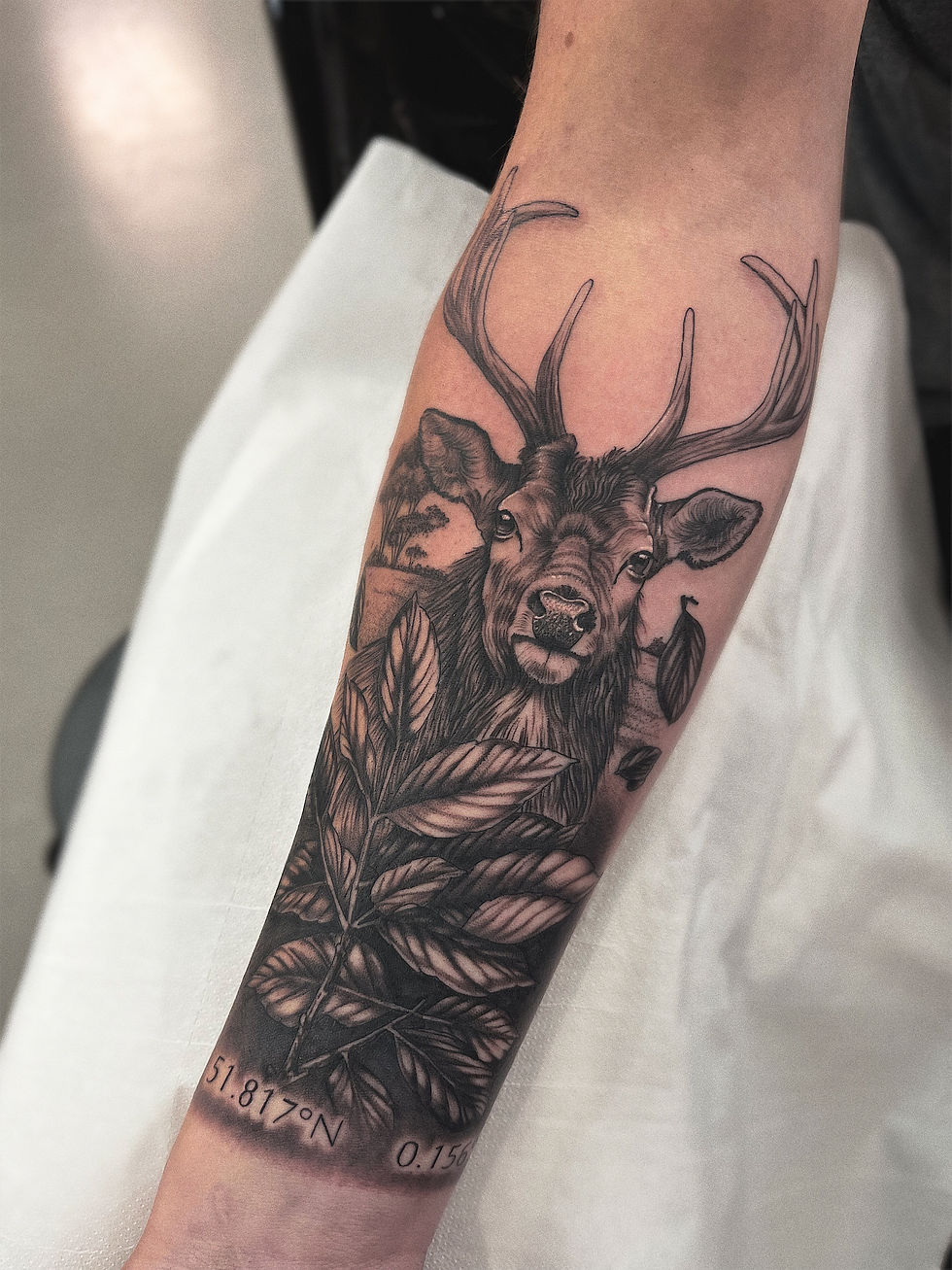 deer