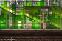 Lasse Olsson Photo-1394