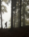Person Hiking Through Misty Forest in Early Morning Light
SEO Caption: Discover the serenity of hiking through misty forests. This tranquil scene captures a lone hiker walking along a wooded trail surrounded by tall trees and soft morning fog, perfect for nature lovers, outdoor adventure enthusiasts, and mindfulness seekers. Explore forest trails, embrace outdoor adventures, and reconnect with nature.