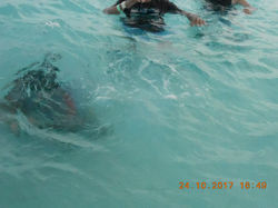 DSCN1966