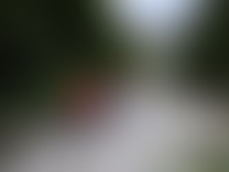 2022-08-21 64-Jähriger rutscht in der Speikschlucht 8 Meter über Steilhang aufs felsige Bachufer