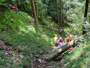 09.07.22 41-jähriger Mountainbiker stürzt vom Plattensteig am Schattlosberg 10 Meter über Steilhang
