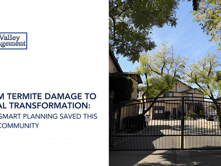 From Termite Damage to Total Transformation: How Smart Planning Saved This HOA Community