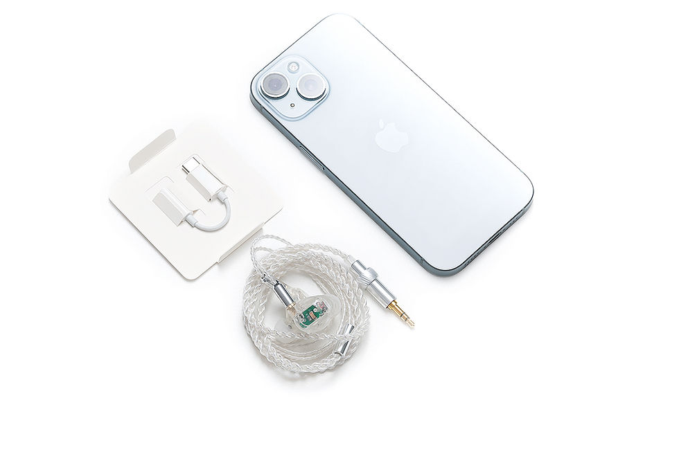 Apple USB-C dongle 애플뮤직 AppleMusic Tidal Roon iPhone 애플꼬다리 꼬다리DAC 아이폰