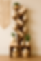 generated-image (26).png