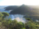 熱帯の島ビュー