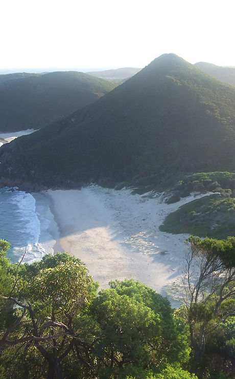 Tropical Island View