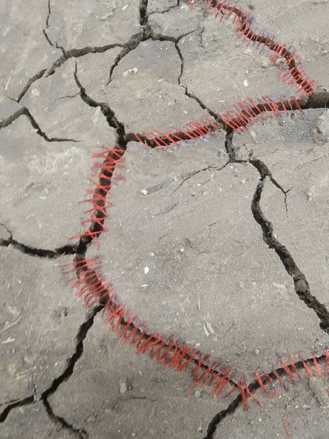 אדמה תפורה קטע.jpg