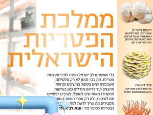 ממלכת הפטריות הישראלית