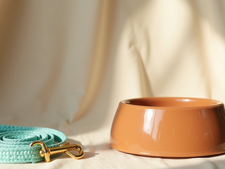 Shop Now for Unique Pet Merchandise at Paws & All