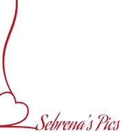 Sebrena's Pics Logo